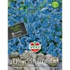 Sperli Vergissmeinnicht Blauer Ball