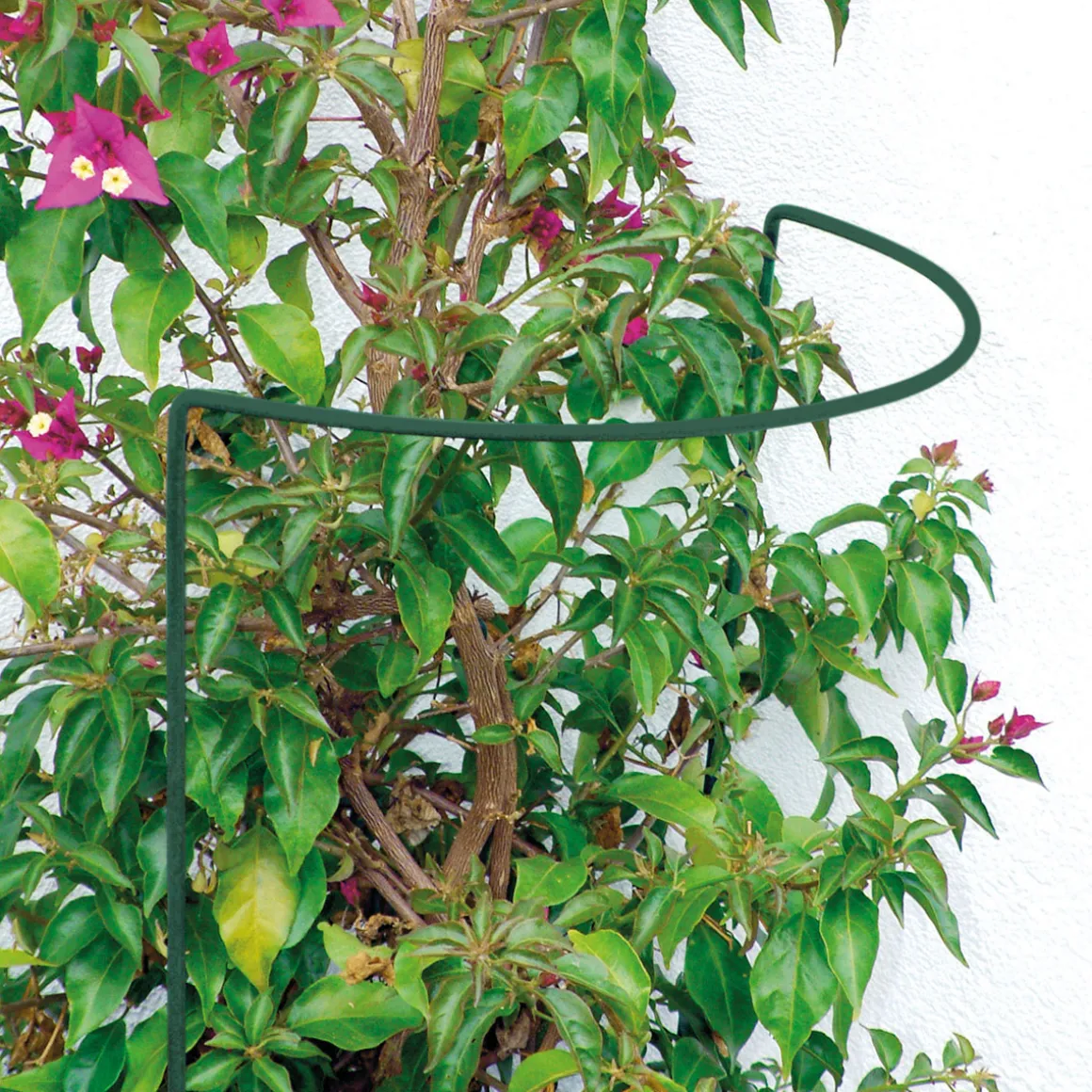 Staudenstütz 40 x 100 cm