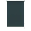 SZ-Rollo Farb. 096 82x180 cm