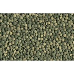 Tetra Fischfutter Pleco Tablets 58 Tabletten