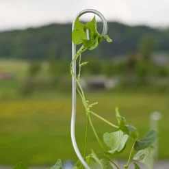 Tomatenspiralstab m. Haken 180cm