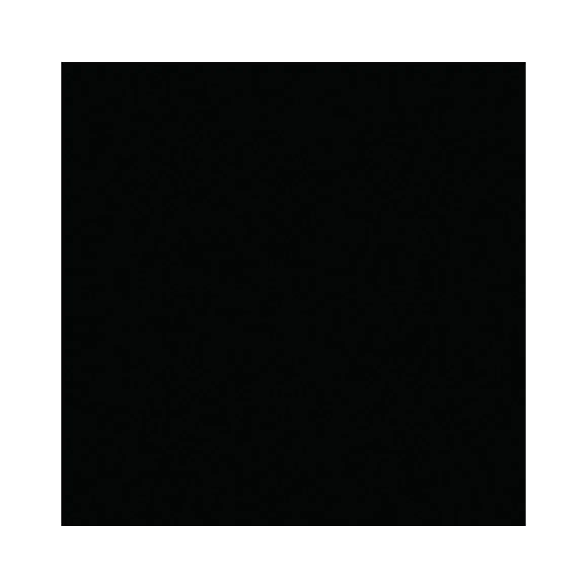 Vincent 2in1 Buntlack Tiefschwarz glänzend 125 ml