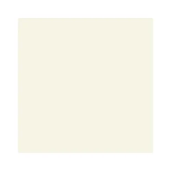 Vincent Wand- und Deckenfarbe Creamy matt 5 L
