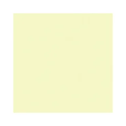 Vincent Wand- und Deckenfarbe Spring 5 L