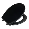 WC-Sitz Ikaria schwarz matt, Duroplast
