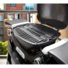 WeberGasgrill mit Stand Q1200N