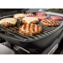 WeberGasgrill mit Stand Q1200N