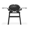 WeberGasgrill mit Stand Q2200N