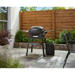 WeberGasgrill mit Stand Q2200N