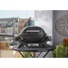 WeberGasgrill Q1100N
