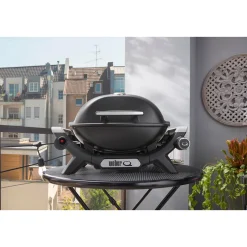 WeberGasgrill Q1100N
