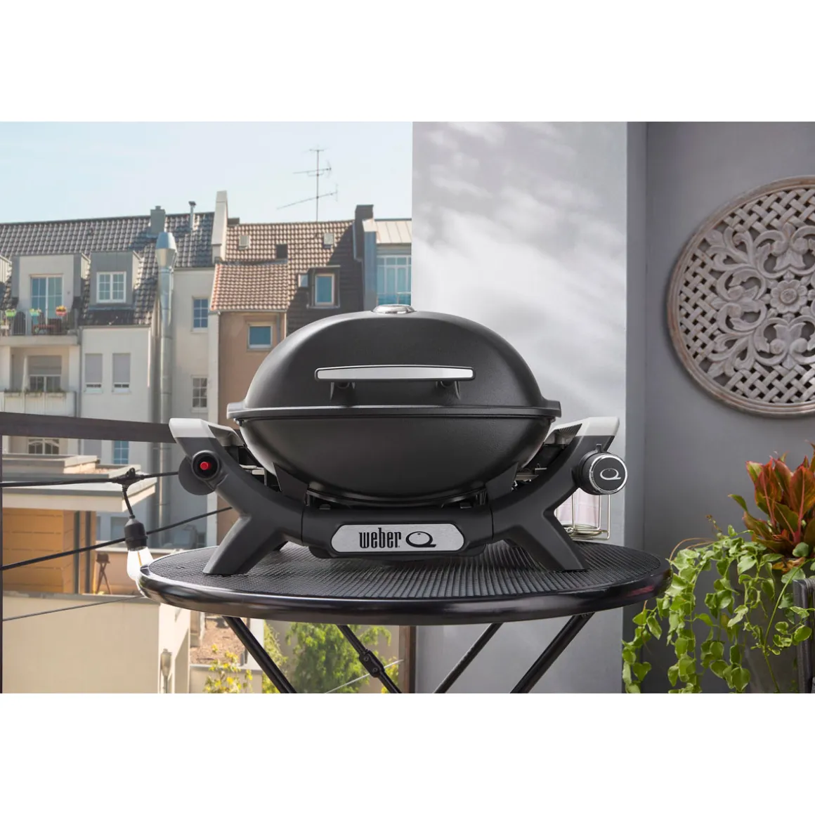 WeberGasgrill Q1100N