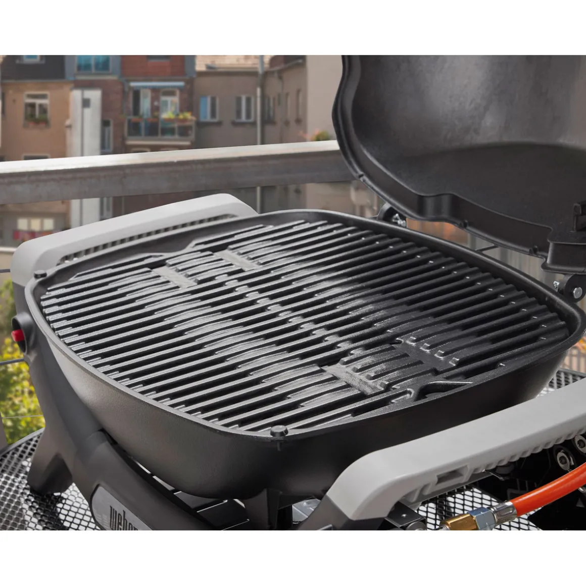 WeberGasgrill Q1100N