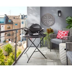 WeberGasgrill Q1100N