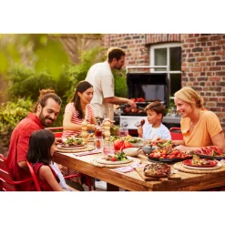 WeberGasgrill SPIRIT EP-425 GBS