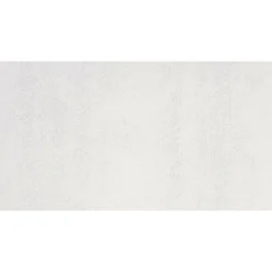 WF Parel white Luester matt 30x60x0,7cm