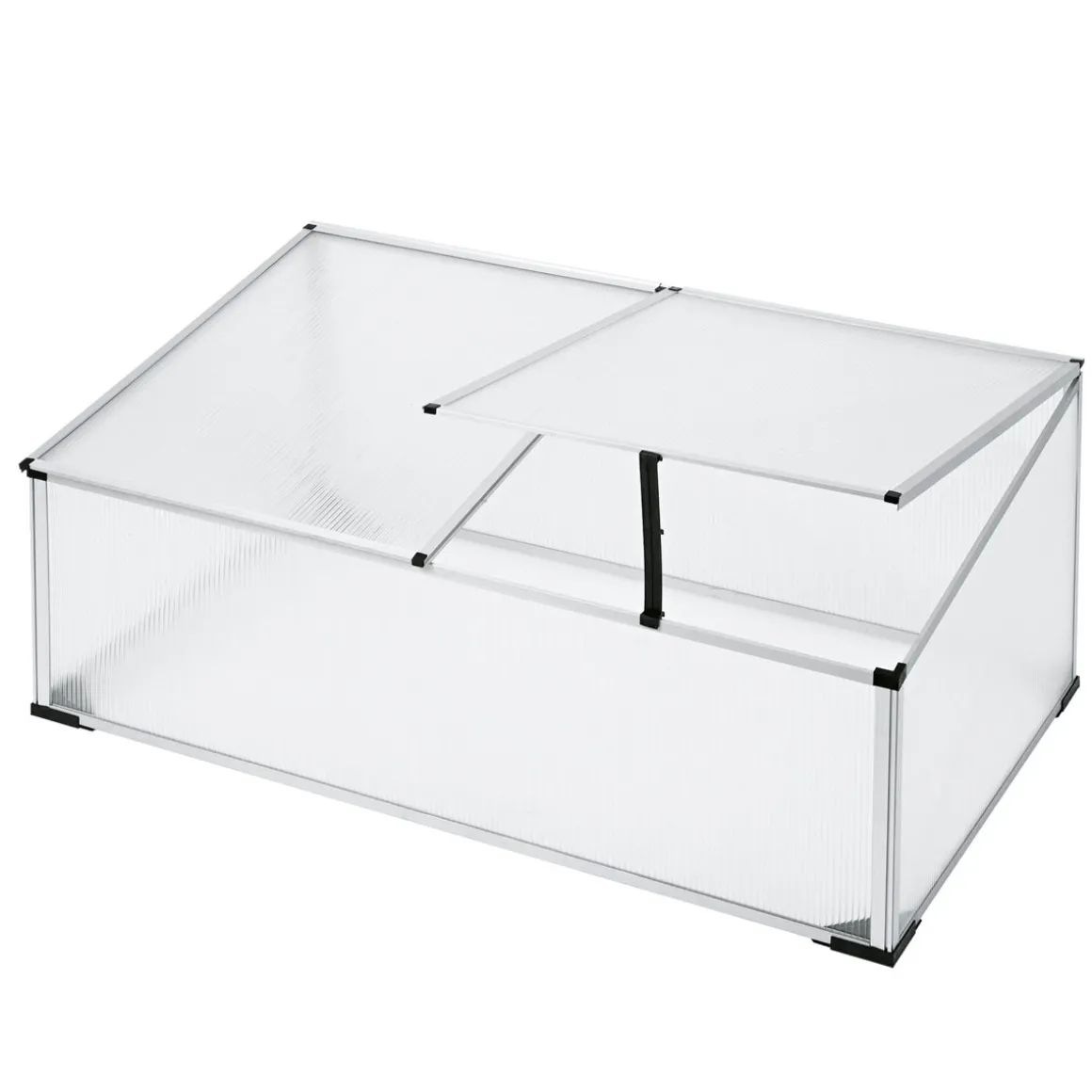 Wingart Frühbeet transparent 100 x 60 x 40 cm
