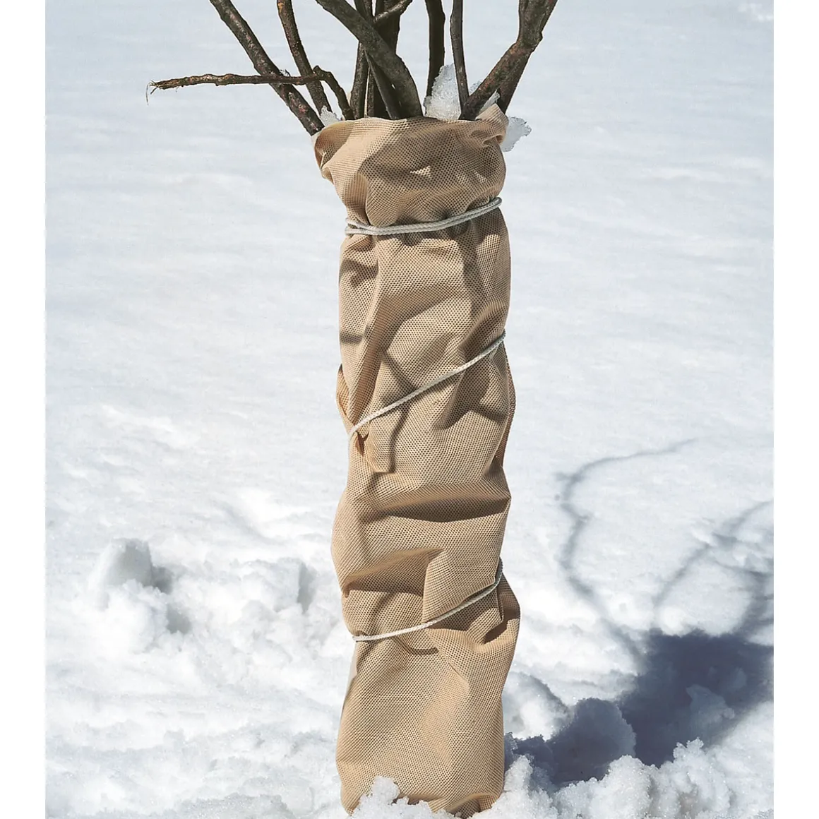 Winter-Vlies Protect 5x2 m, 30g/m2